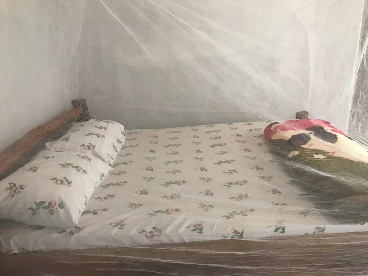 Sipi Backpackers Apartment Kapchorwa Room photo